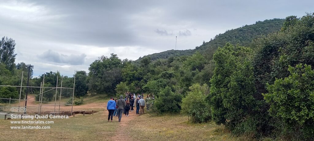 Un paseo en el cerro para conocer el bosque esclorofílo y cosechar plantas que teñirán durante el curso