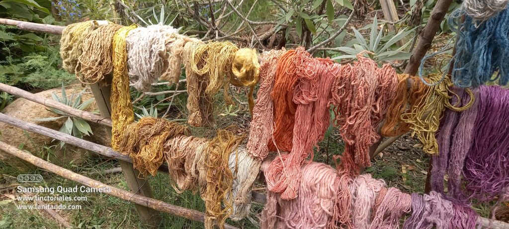 Muestras de distintas fibras teñidas naturales